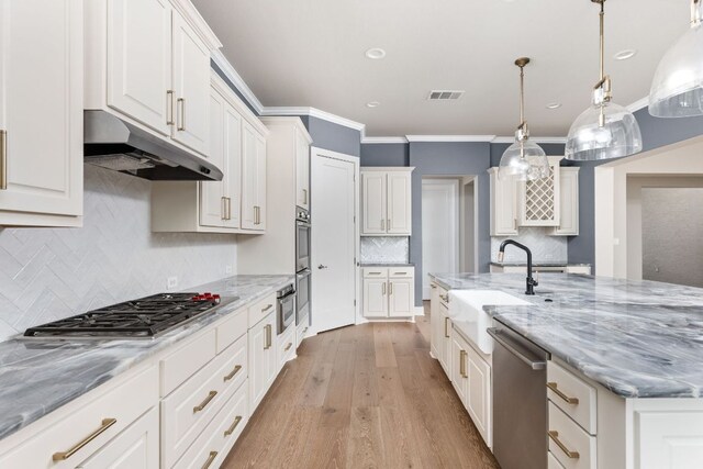 kitchen featuring crown molding, visible vents, under cabinet range hood, a sink, and appliances with stainless steel finishes