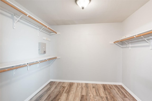 234 Saint Marys Dr, Hutto, TX 78634 - walk in closet with light wood-style floors