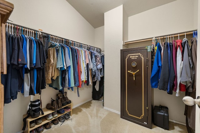 12616 Wayne Spur Ln, Elgin, TX 78621 - spacious closet with carpet floors and lofted ceiling