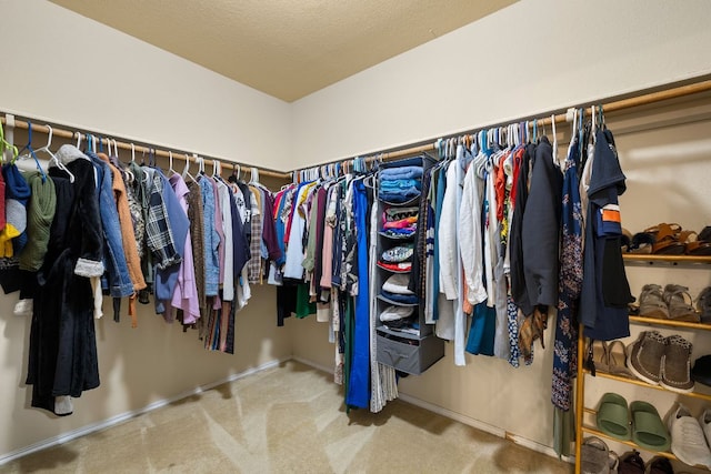 walk in closet with carpet flooring