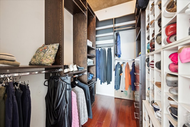 spacious closet featuring dark wood-style floors