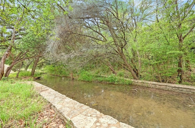 3605 Fawn Creek Path, Austin, TX 78746 - view of yard