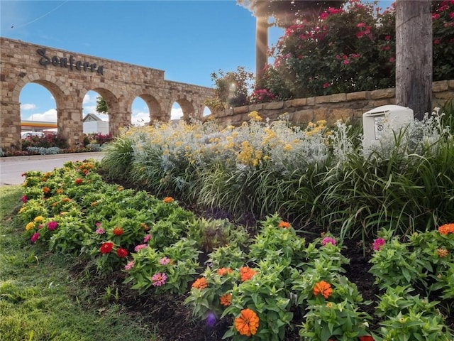 325 Enforcer Loop, Jarrell, TX 76537 - view of yard