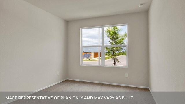 spare room with baseboards, a healthy amount of sunlight, and carpet