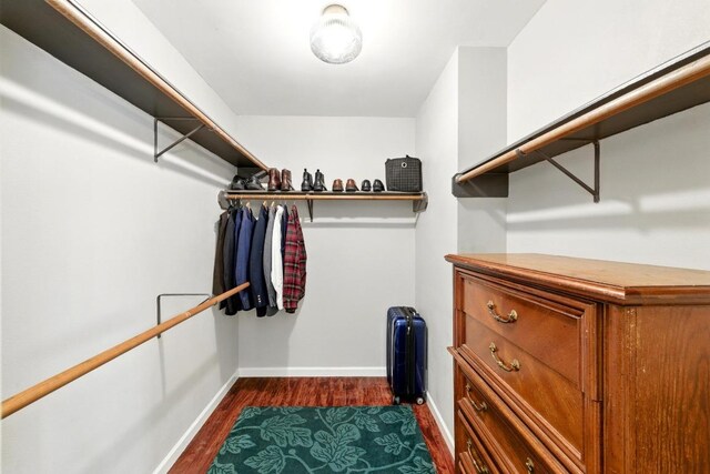 walk in closet with dark wood finished floors