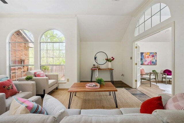 living area featuring baseboards, wood finished floors, a wealth of natural light, and vaulted ceiling