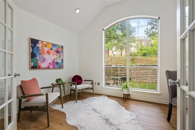 living area featuring plenty of natural light, french doors, and wood finished floors