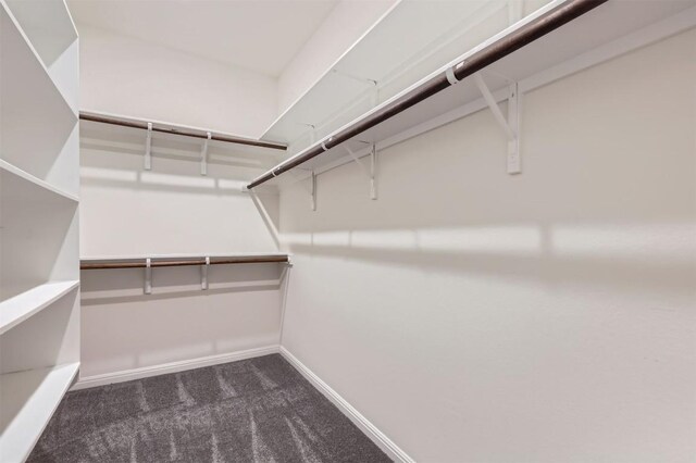spacious closet with carpet flooring