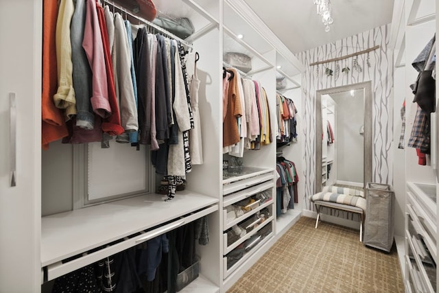 202 Parkwest Dr, Cedar Park, TX 78613 - spacious closet with light carpet