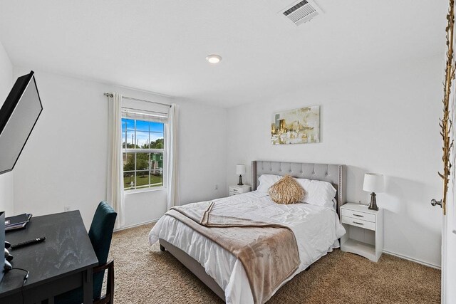 2204 Nightview Dr, Pflugerville, TX 78660 - bedroom featuring light carpet