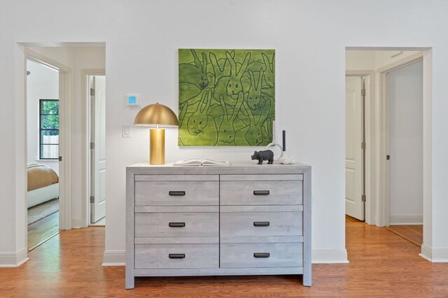 details with baseboards and wood finished floors