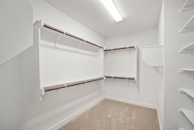 991 Hazy Hills Loop, Dripping Springs, TX 78620 - walk in closet featuring carpet flooring
