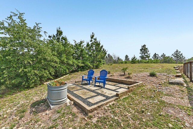 view of yard featuring a patio