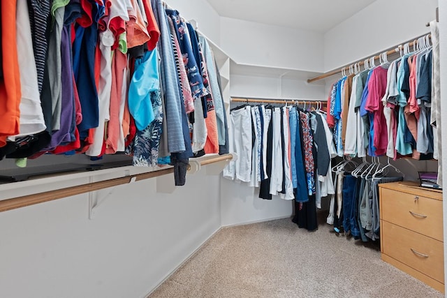 spacious closet with carpet