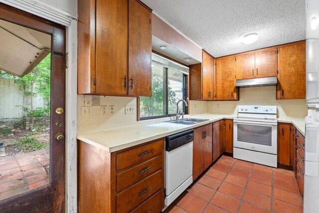 kitchen with white appliances, under cabinet range hood, a wealth of natural light, and a sink