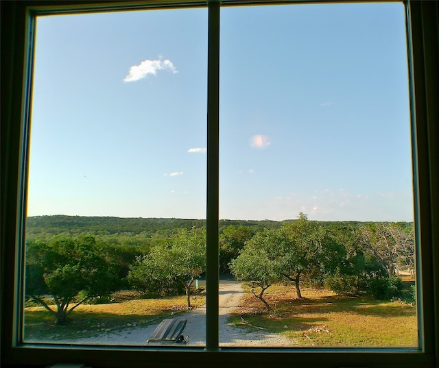 923 Debco Ln, Spicewood, TX 78669 - detailed view of a heavily wooded area