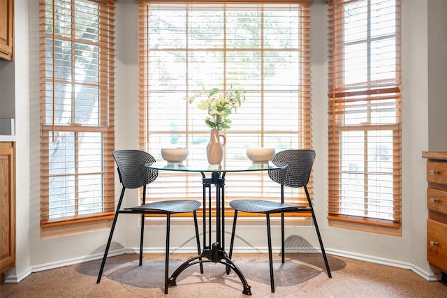 dining room featuring baseboards
