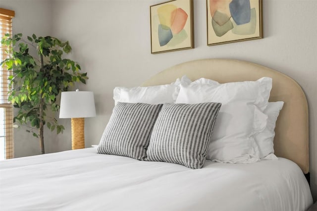 16407 Spotted Eagle Dr, Leander, TX 78641 - view of bedroom