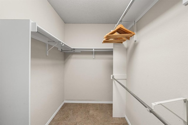 walk in closet with carpet
