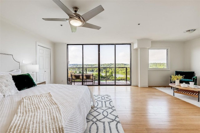 40 N Interstate 35 Unit 10B1, Austin, TX 78701 - bedroom with access to outside, multiple windows, wood finished floors, a wall of windows, and a ceiling fan