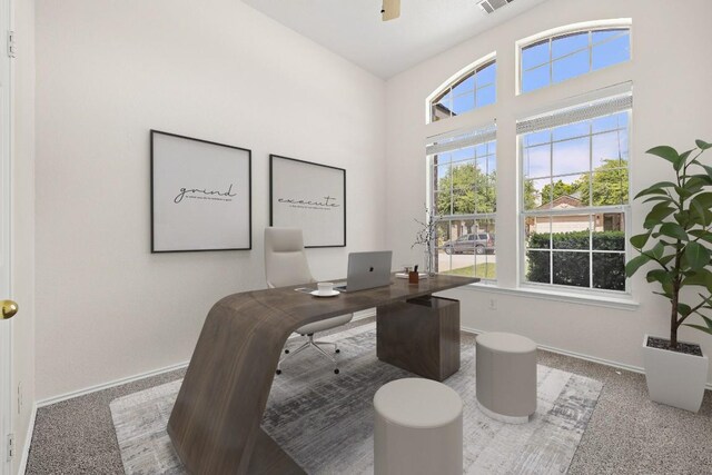 20312 Bellerive Dr, Pflugerville, TX 78660 - carpeted office featuring baseboards and a ceiling fan