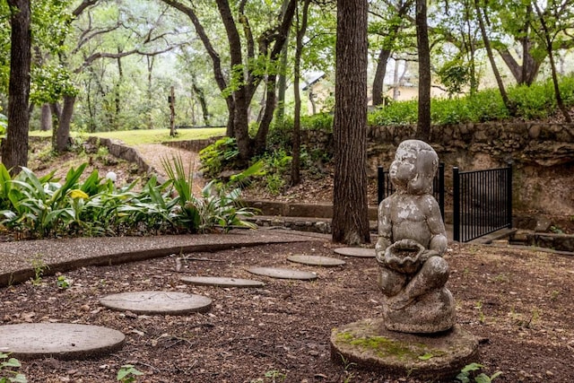7504 Creekbluff Dr, Austin, TX 78750 - view of yard