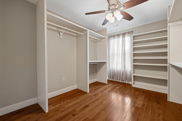 spacious closet featuring a ceiling fan and hardwood / wood-style floors