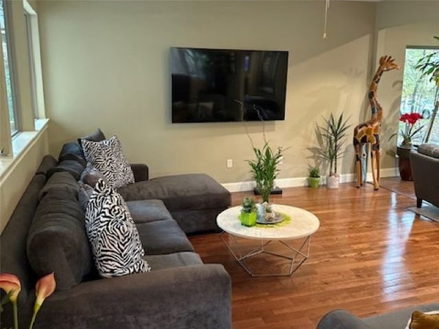 living room with baseboards and wood finished floors