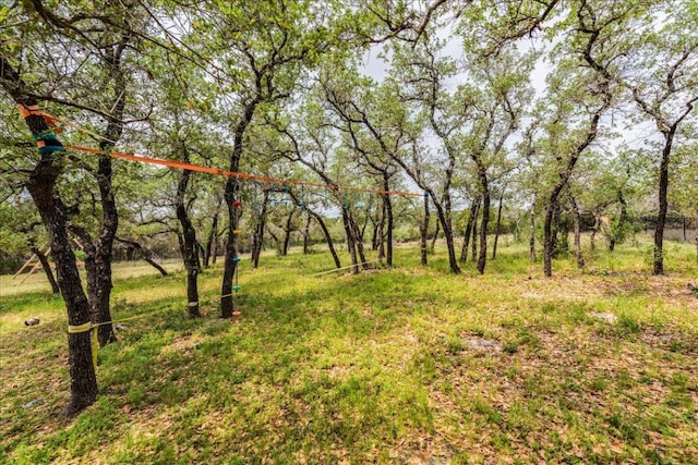 3904 Bee Creek Rd, Spicewood, TX 78669 - view of yard