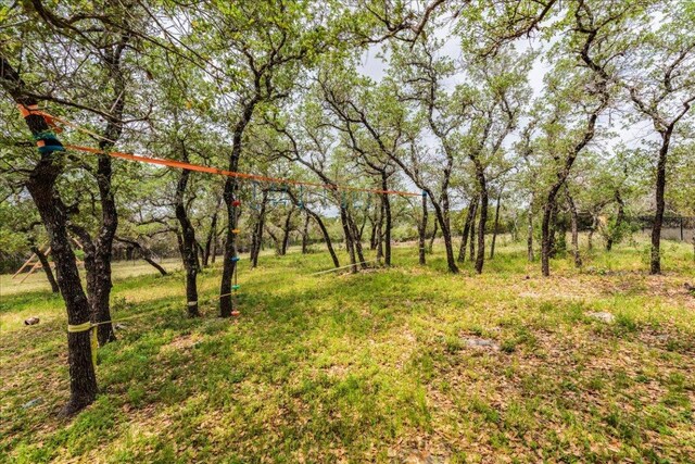 3904 Bee Creek Rd, Spicewood, TX 78669 - photo 34