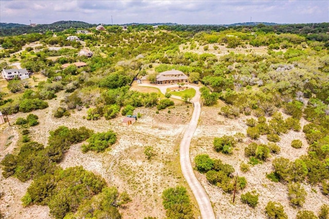3904 Bee Creek Rd, Spicewood, TX 78669 - aerial view