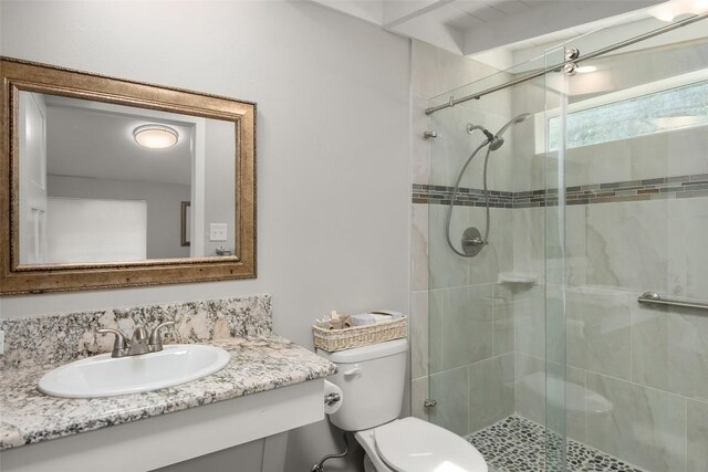 bathroom featuring vanity, a shower stall, and toilet
