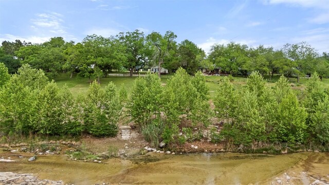 view of local wilderness