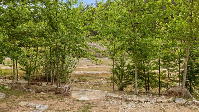 view of local wilderness