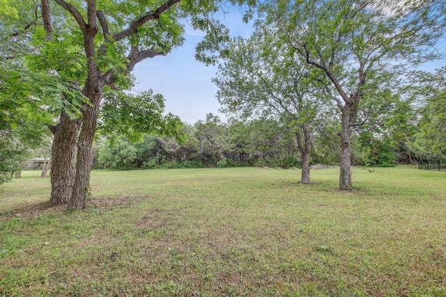228 Marbella Way, Georgetown, TX 78633 - view of grassy yard featuring a view of trees