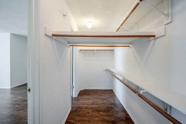 1911 Timberwood Dr, Cedar Park, TX 78613 - walk in closet with dark wood-style flooring