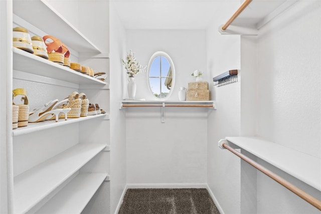 spacious closet featuring carpet