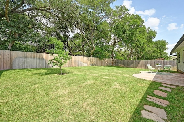 view of yard with a patio and a fenced backyard