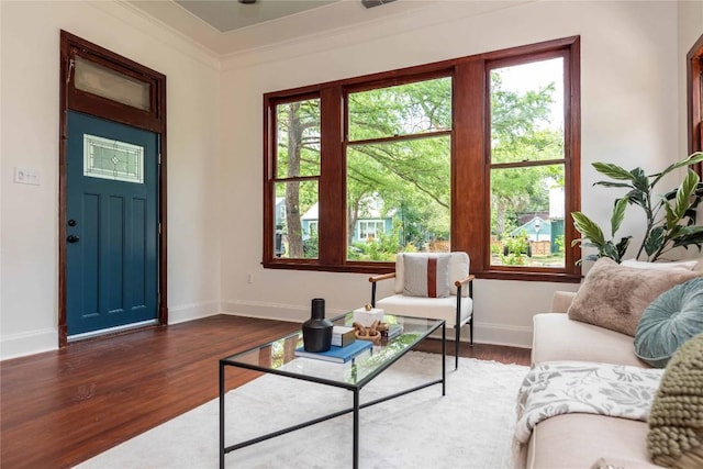 living room with baseboards, plenty of natural light, and wood finished floors