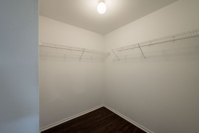 292 Dandelion Loop, Kyle, TX 78640 - walk in closet with dark wood-type flooring