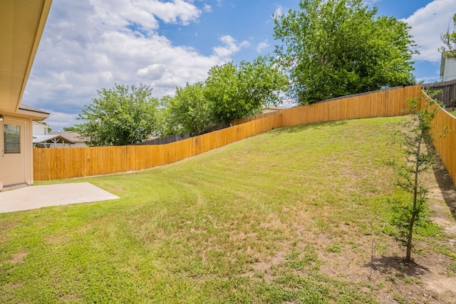 292 Dandelion Loop, Kyle, TX 78640 - view of yard featuring a patio