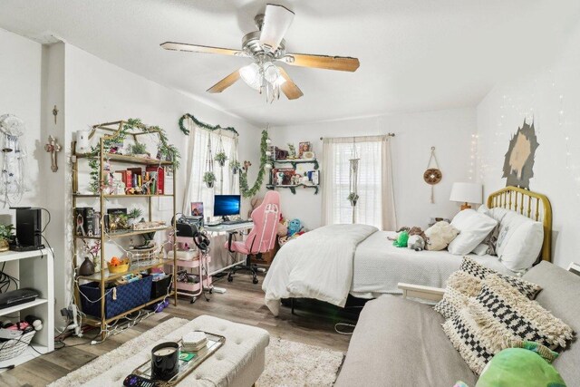 bedroom featuring ceiling fan, wood finished floors, and multiple windows