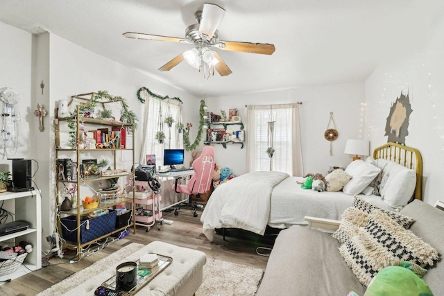 421 James St, Boerne, TX 78006 - bedroom with multiple windows, wood finished floors, an office area, and a ceiling fan