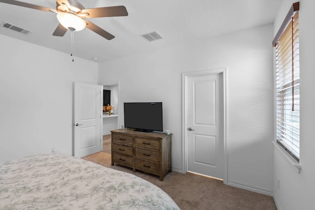 117 Thurman Holt Rd, Hutto, TX 78634 - carpeted bedroom featuring multiple windows and a ceiling fan