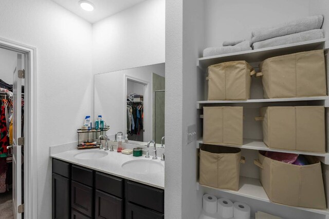 117 Thurman Holt Rd, Hutto, TX 78634 - full bath featuring a spacious closet and double vanity