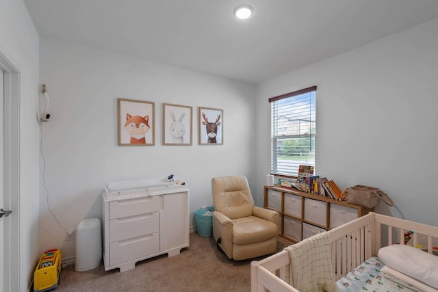 117 Thurman Holt Rd, Hutto, TX 78634 - bedroom with a nursery area and carpet floors