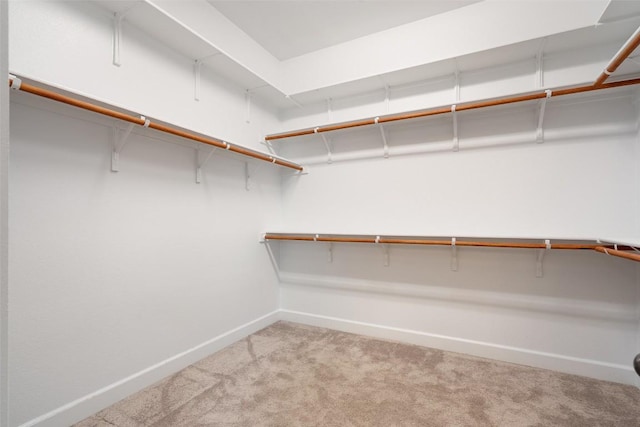 103 Lockhart Loop, Georgetown, TX 78628 - spacious closet with light carpet