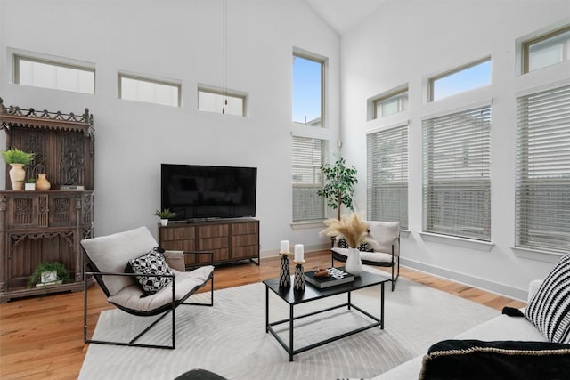 907 Totis Rd, Austin, TX 78748 - living room featuring high vaulted ceiling and wood finished floors