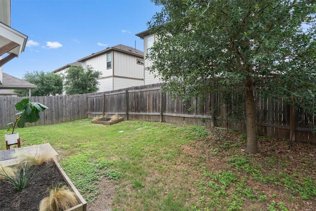907 Totis Rd, Austin, TX 78748 - fenced backyard featuring a garden