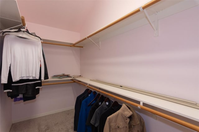 walk in closet with carpet floors
